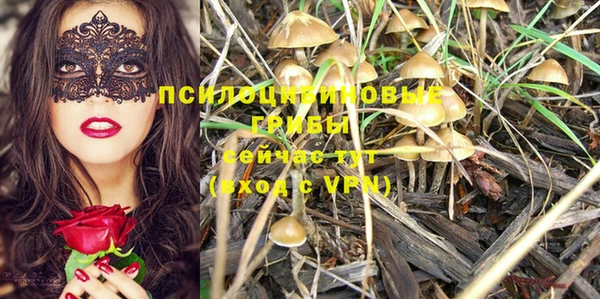 apvp Абинск