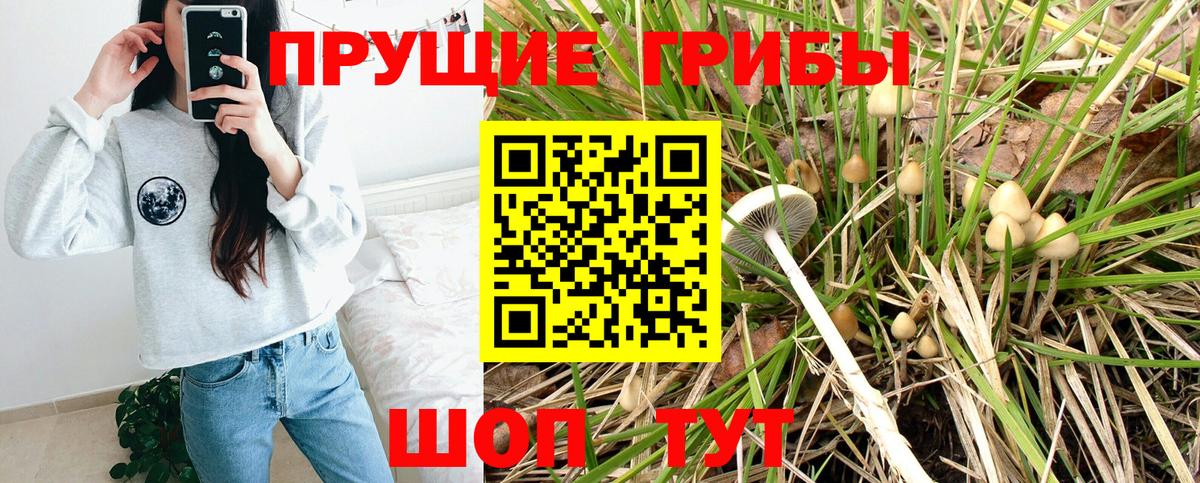 Галлюциногенные грибы MAGIC MUSHROOMS  Вход с VPN  Грязи 